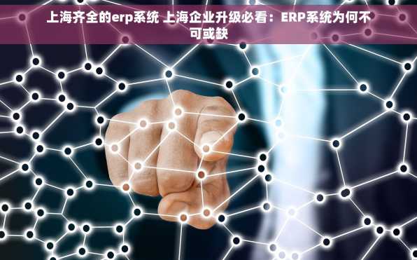 上海齐全的erp系统 上海企业升级必看：ERP系统为何不可或缺