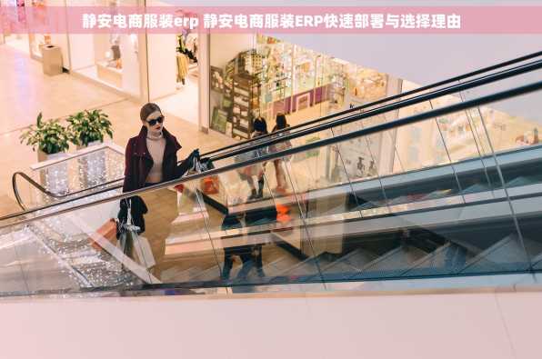 静安电商服装erp 静安电商服装ERP快速部署与选择理由