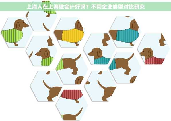 上海人在上海做会计好吗？不同企业类型对比研究