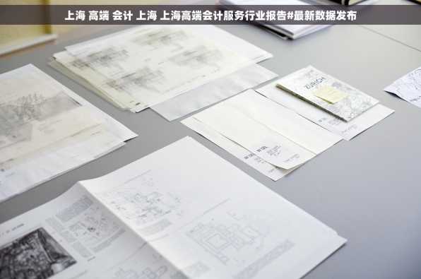 上海 高端 会计 上海 上海高端会计服务行业报告#最新数据发布